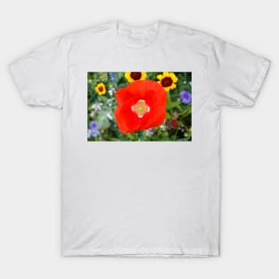 Red weed on the floral meadow color background T-Shirt